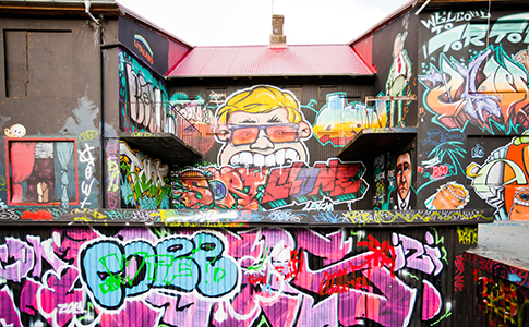 网络手机号免费版