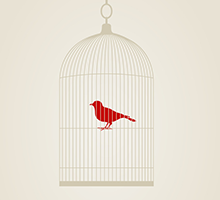 轰炸电话在线下单